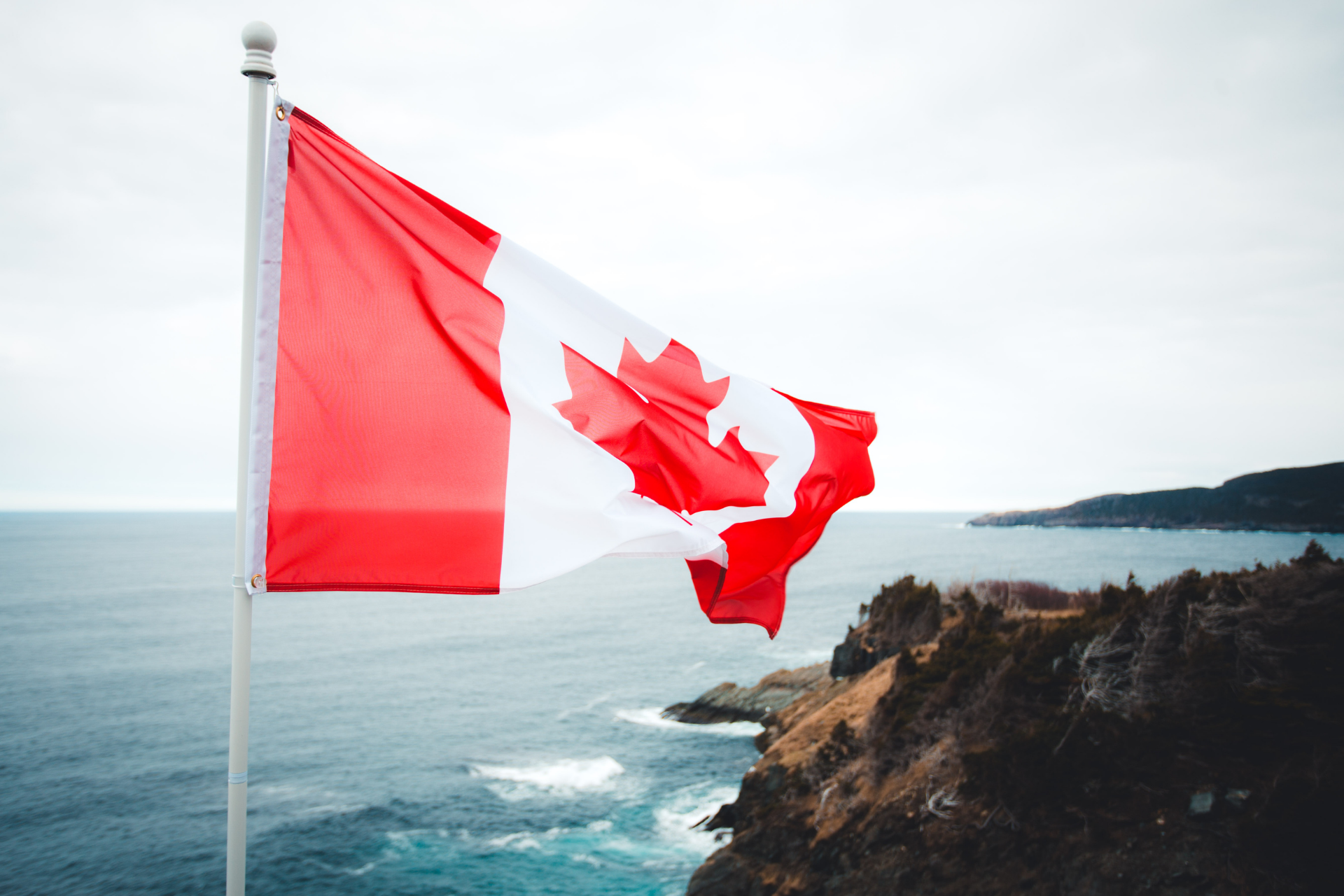 Contact Canadian immigration consultant Hakam Immigration Services